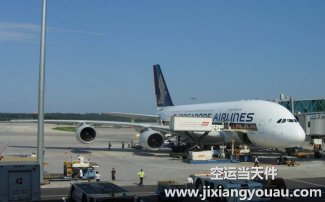 寵物空運：全國機場和航空公司對于航空托運寵物的規(guī)定